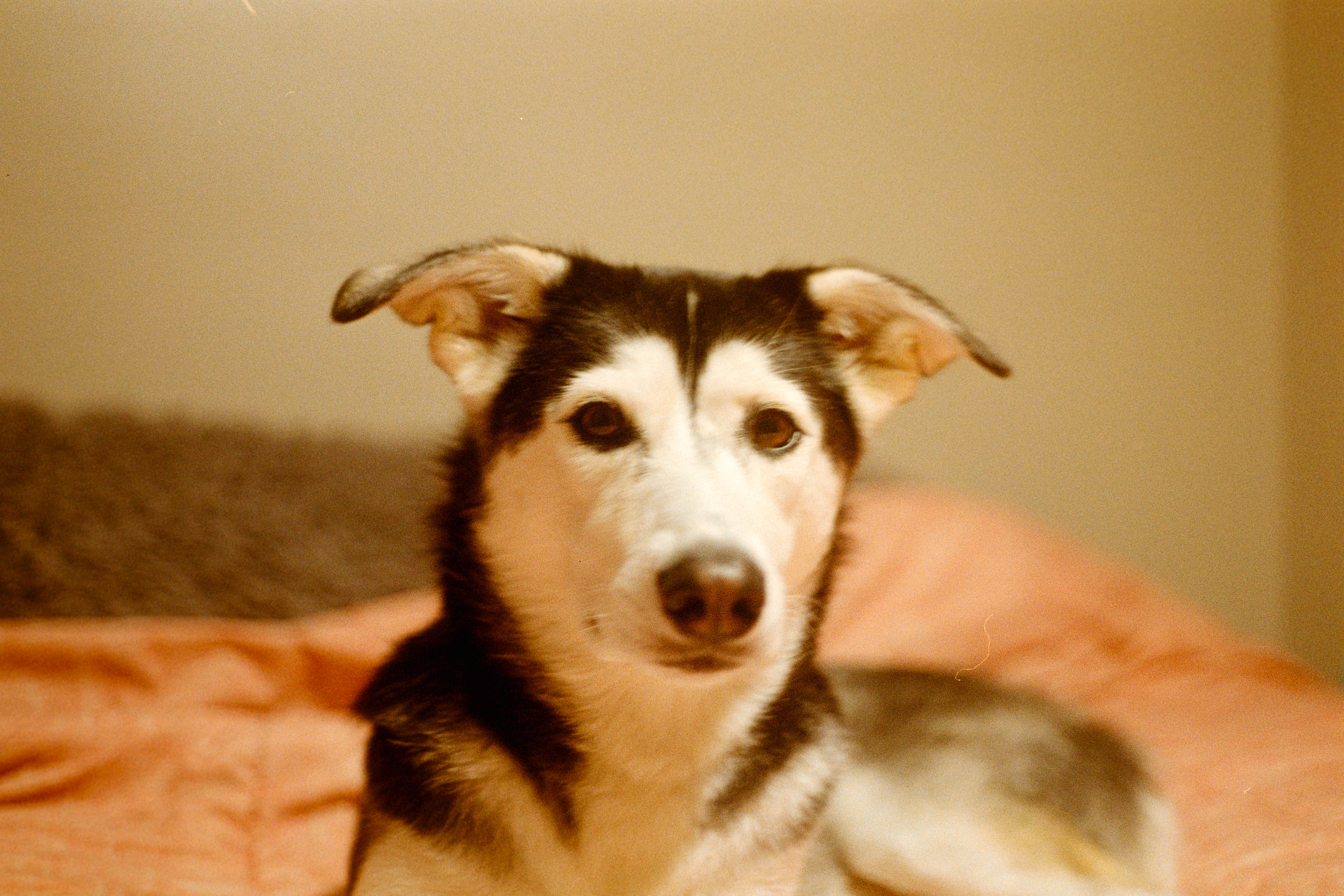 Film Photography